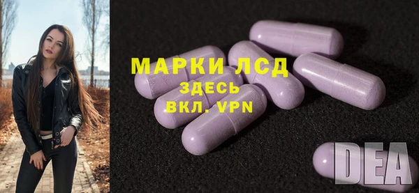 СК Белокуриха